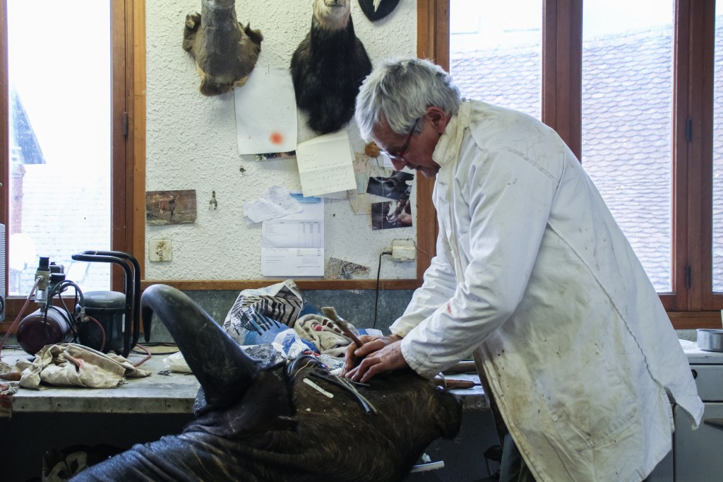 Mon père, taxidermiste,&nbsp;73